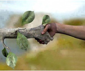 save-tree-save-global