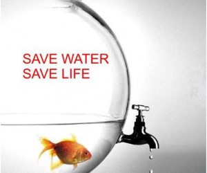 save-water-save-life